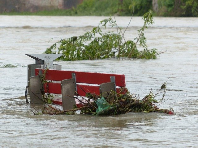 Park bench and branches in a flood